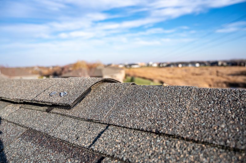 Asphalt Roof Repair