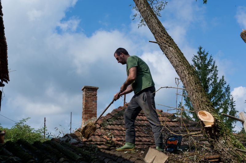 Roof Damage Restoration detail