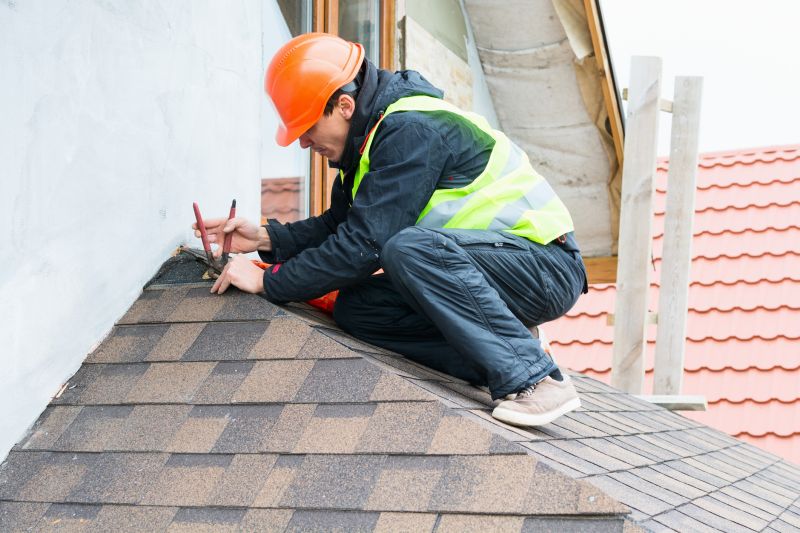 Roof Leak Detection Service detail