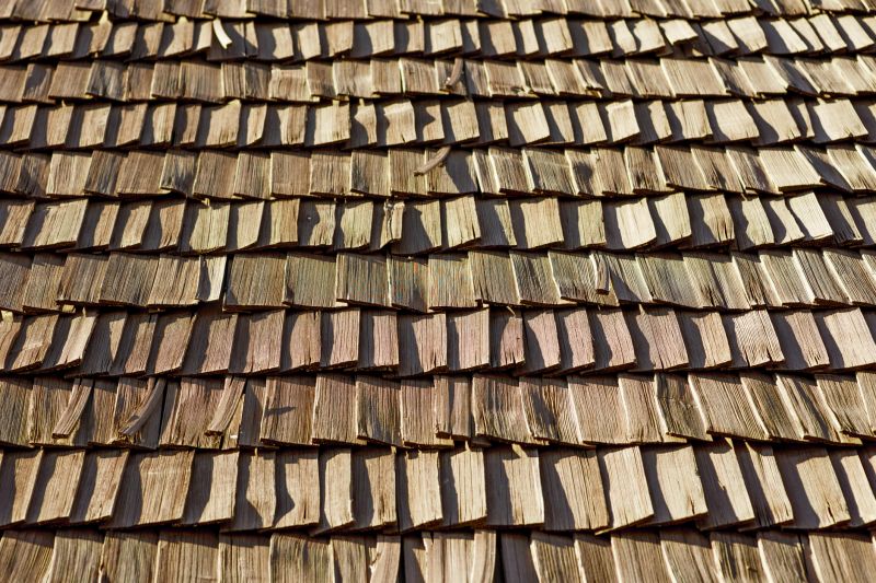Shake Roof Replacement detail