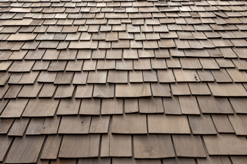 Shake Roof Replacement detail