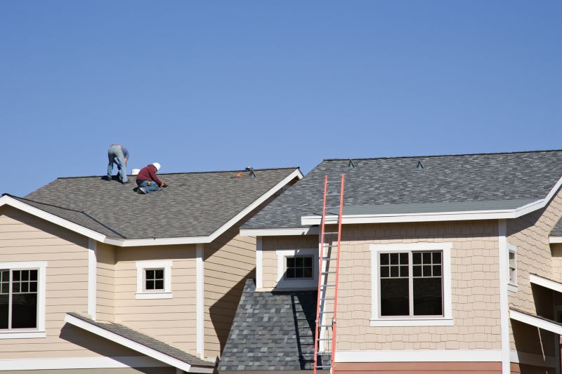 Shingle Repair detail